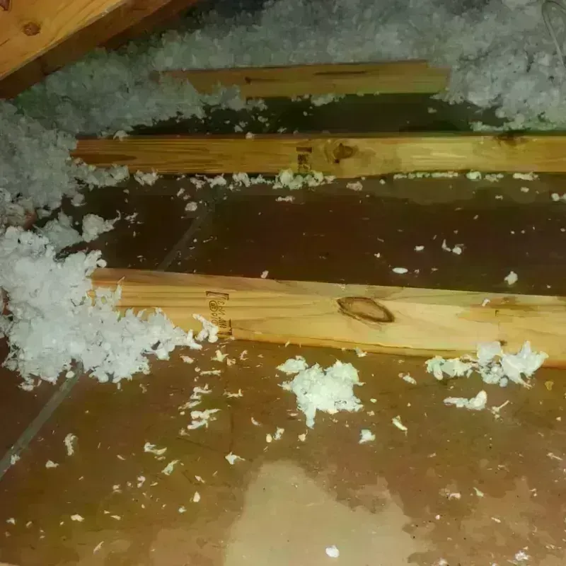 Attic Water Damage in Morton Grove, IL