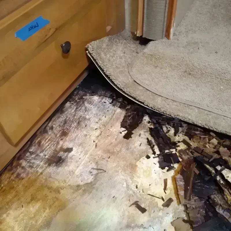 Best Wood Floor Water Damage Service in Morton Grove, IL